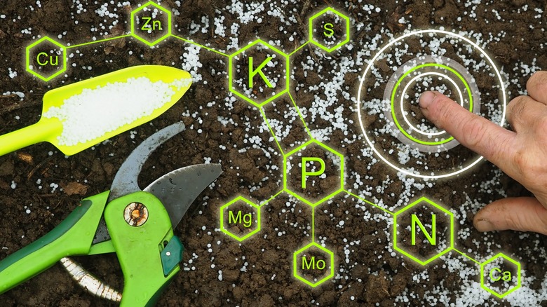 Chemical symbols of fertilizer