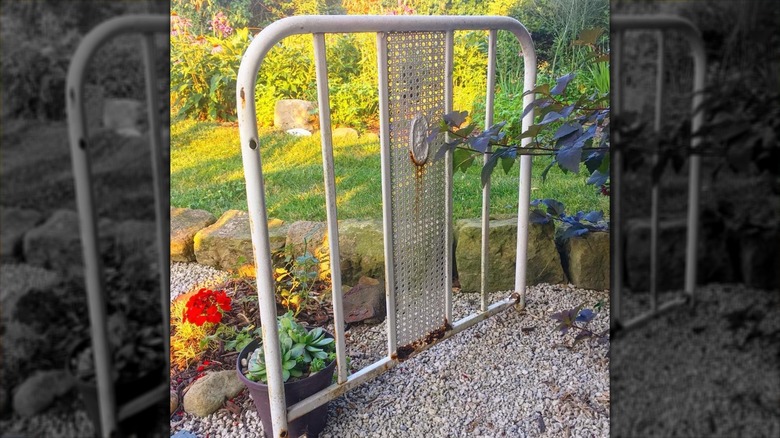 Metal bed frame in garden