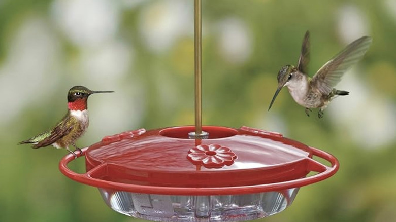 Amazon Hummzinger Hummingbird Feeder