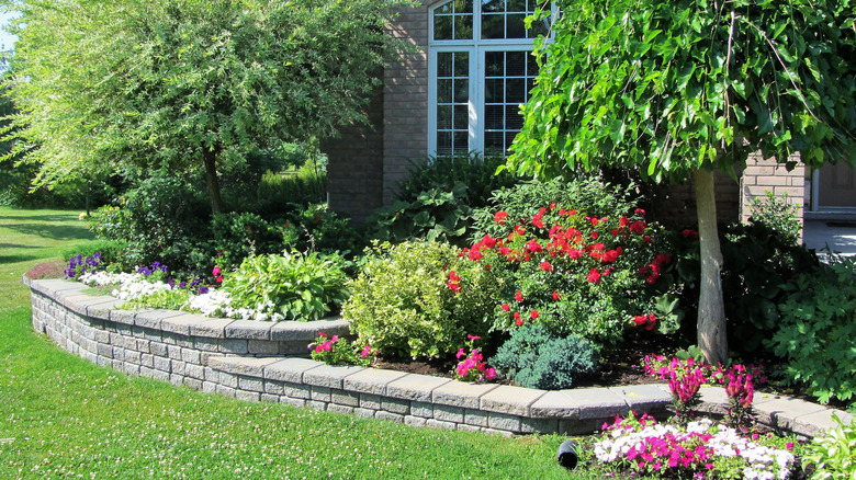 Beautiful garden with diverse plants