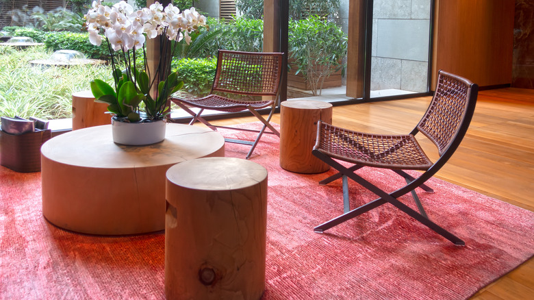 Red rug and furniture