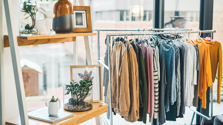 Plants on clothes rack sale