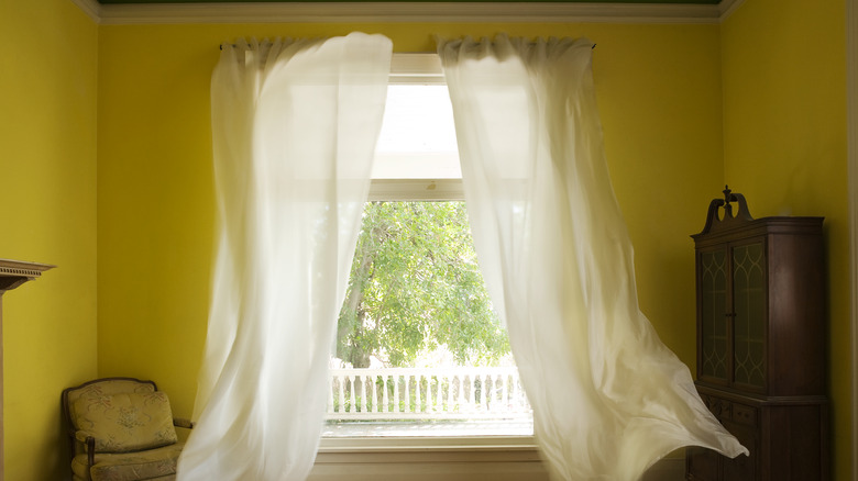 window with curtains 