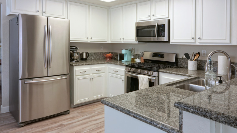 Stainless steel appliances in kitchen