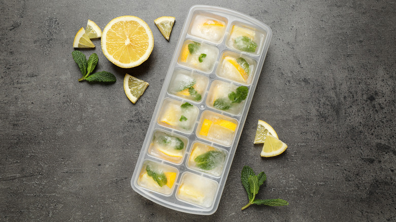 lemon and mint frozen in cubes