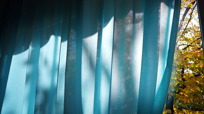 Blue curtains in garden