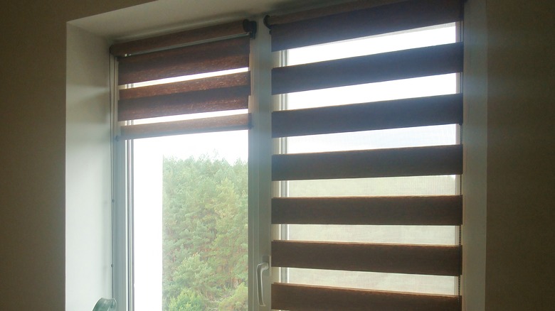 window blinds 