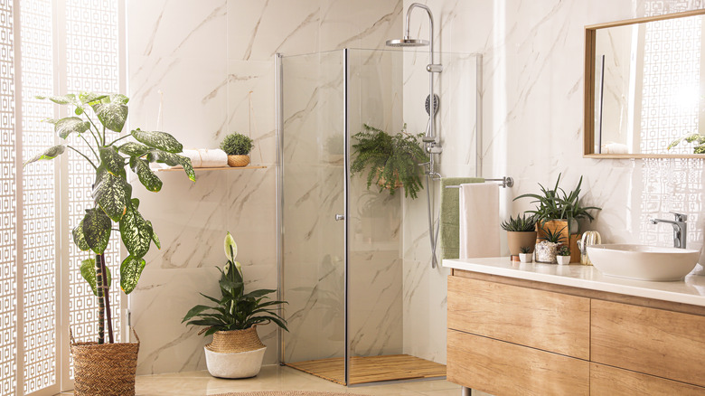 bathroom with many plants