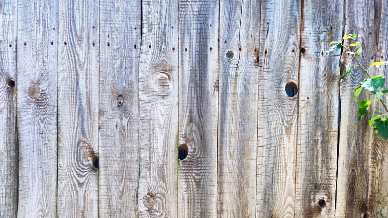 Old-looking grey fence with holes