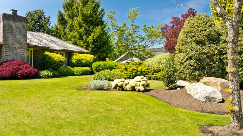 Backyard with rock features