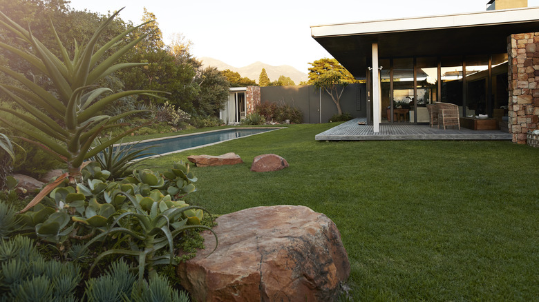 Backyard with boulders