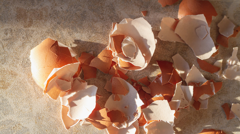 Broken eggshells on countertop