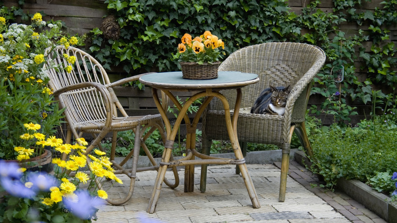 Cat lounging on patio 