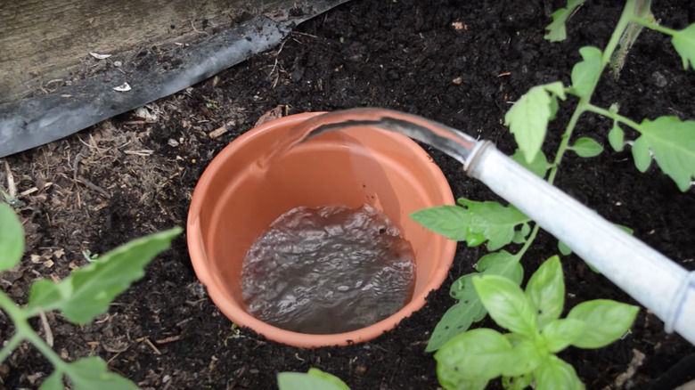 terra cotta olla