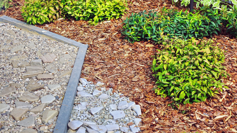 Gravel and mulch between plants and path