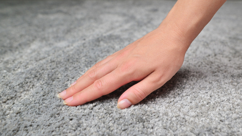 woman touching gray carpet