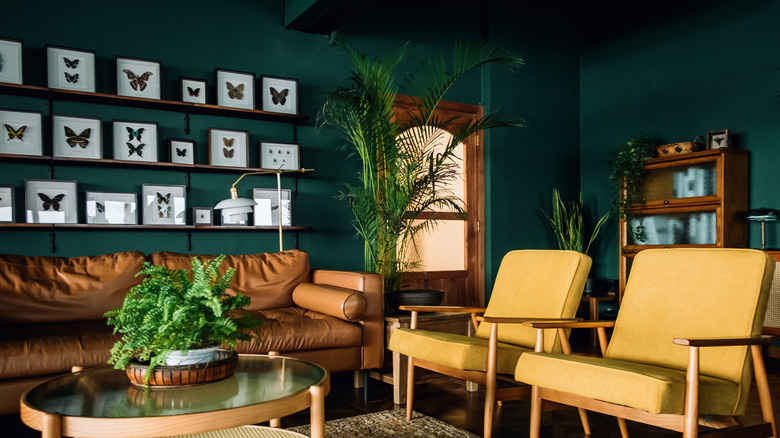 living room with houseplants