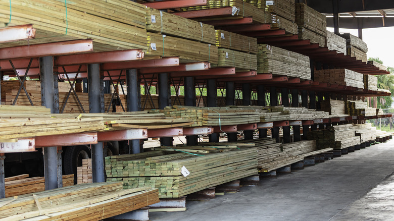 Boards of different wood species in a lumber yard