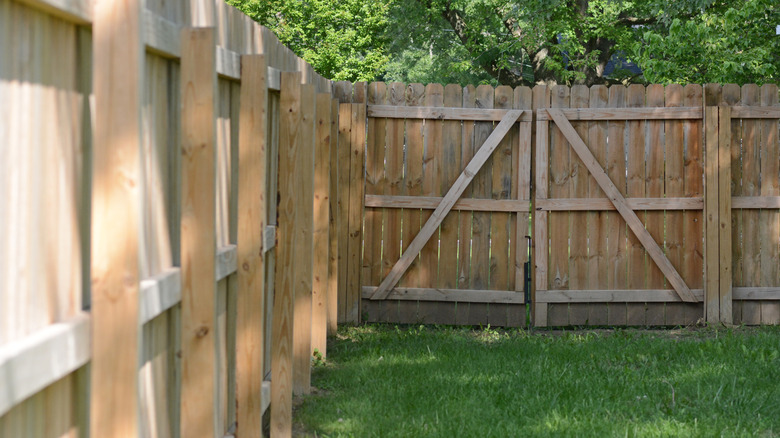 Stockade fence gate in front of trees