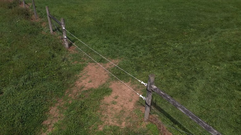 fence with bungee cord railing