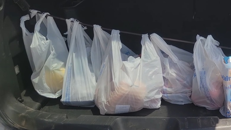 shopping bags on bungee cord in trunk