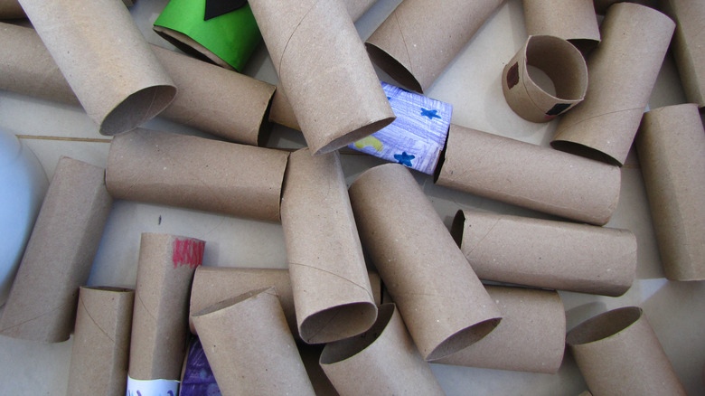 collection of toilet paper rolls