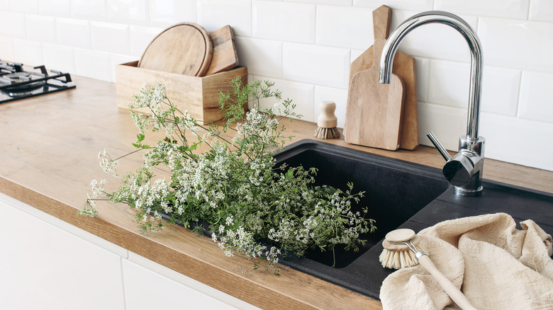 Butcher block countertop and sink