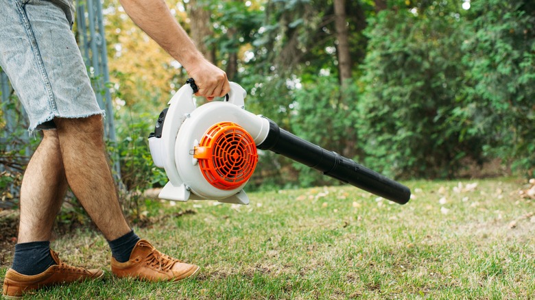 Electric leaf blower