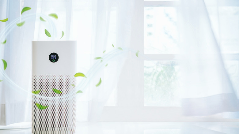 Humidifier removing dust in room