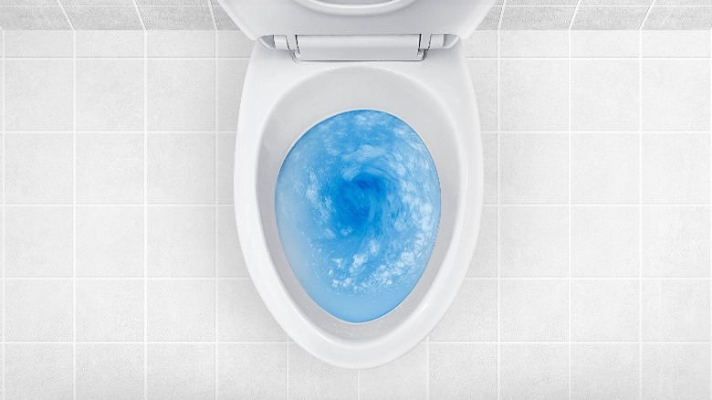 toilet with blue water