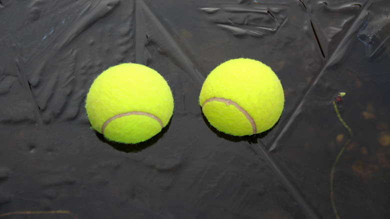 Two tennis balls on icy water