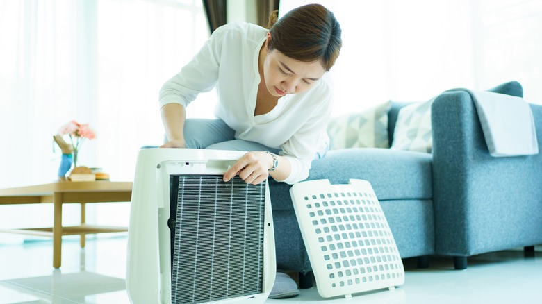 air purification setup in home