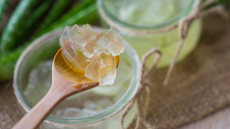 aloe vera gel in jars