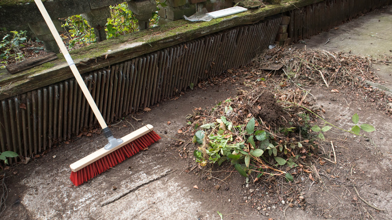 Pile of brush from yard