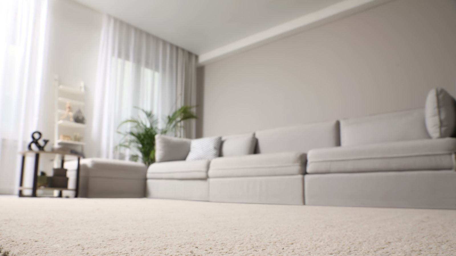 can-carpeting-hurt-your-home-s-value