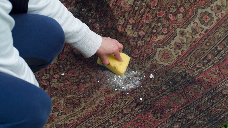 person cleaning carpet with sponge