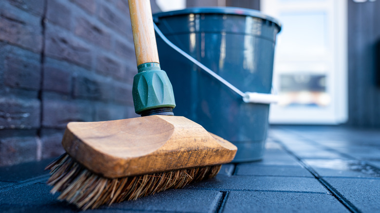 A scrub brush in a driveway