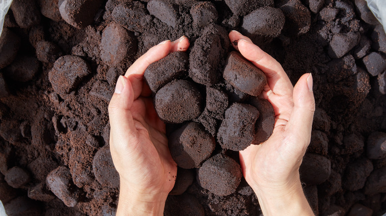 mixing coffee grounds in soil