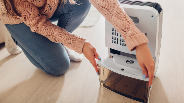 Woman removing water collection drawer from dehumidifier