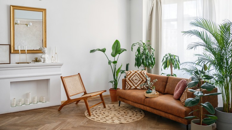 Living room with houseplants