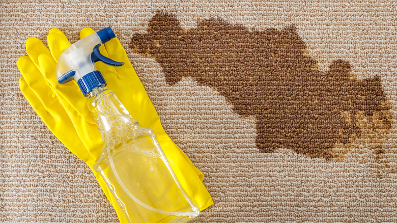 Gloves and spray bottle next to carpet stain