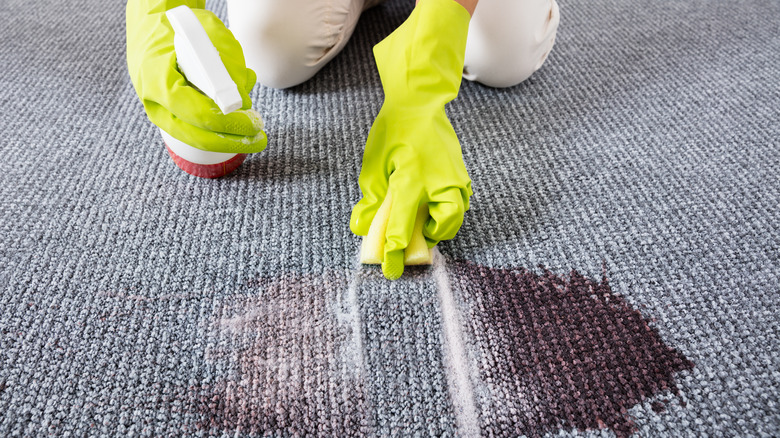 Person scrubs stain on carpet