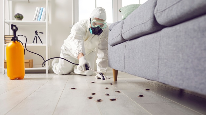 An exterminator spraying bugs on the floor.