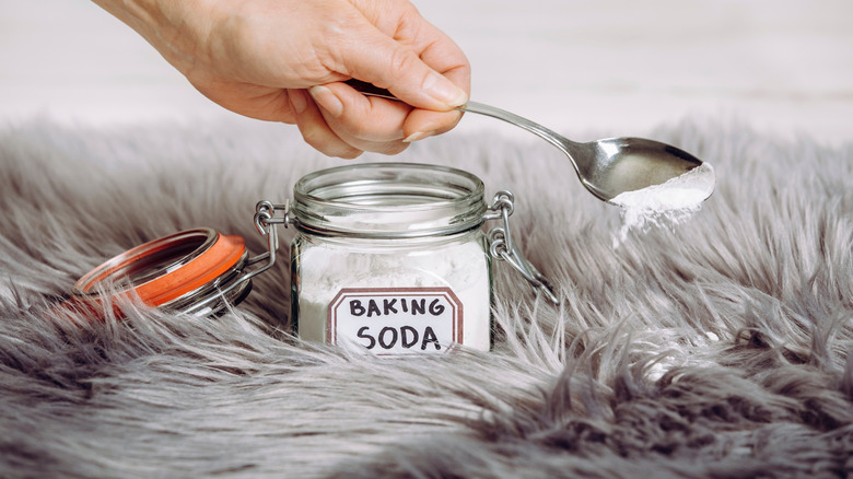 Applying baking soda on carpet