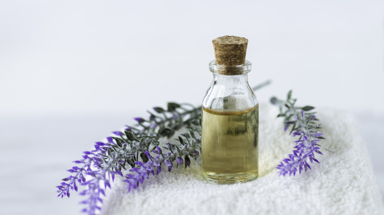 Lavender essential oil 