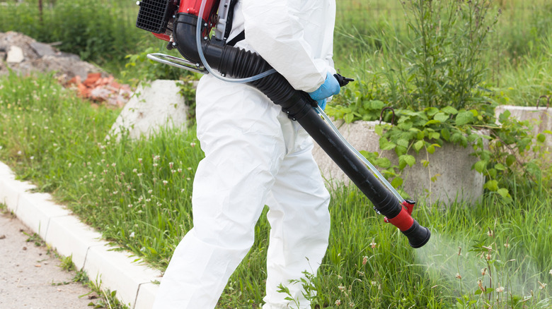 Person spraying yard for pests 