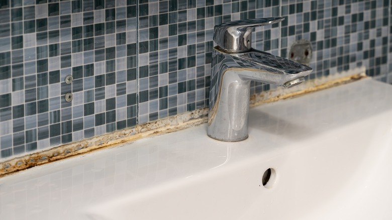 rust and mold on sink