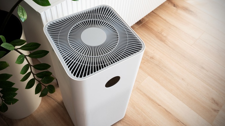 air purifier on wood floors