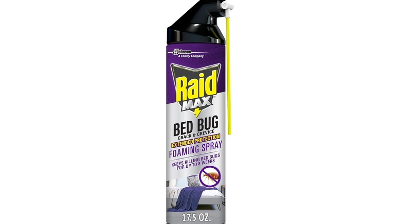 Raid Max Bed Bug spray