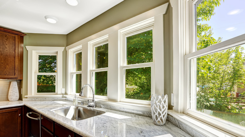 Kitchen windows